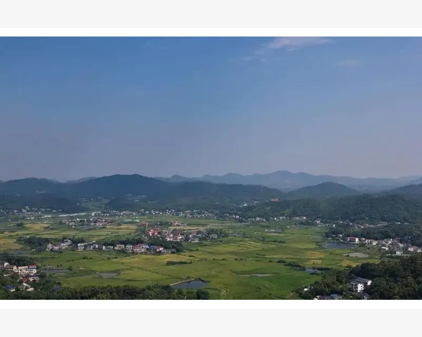 拯救养阴清肺，感冒灵剋星，全面解读中医良方