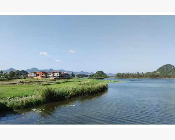 泡什么喝能清肺化痰？中医传承经验告诉你最佳选择