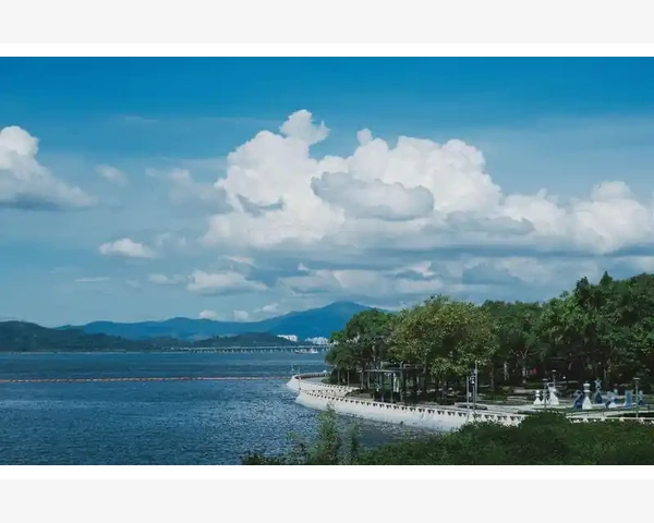 中医针灸：一个源远流长的治疗方法