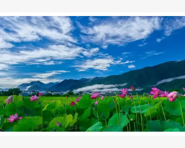 中医针灸部位有哪些？